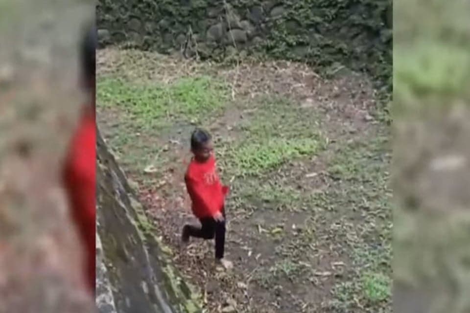 Viral Bocah Nyaris Masuk Kandang Gajah Ragunan, Pengelola Curiga Sengaja Viral Bocah Nyaris Masuk Kandang Gajah Ragunan, Pengelola Curiga Sengaja