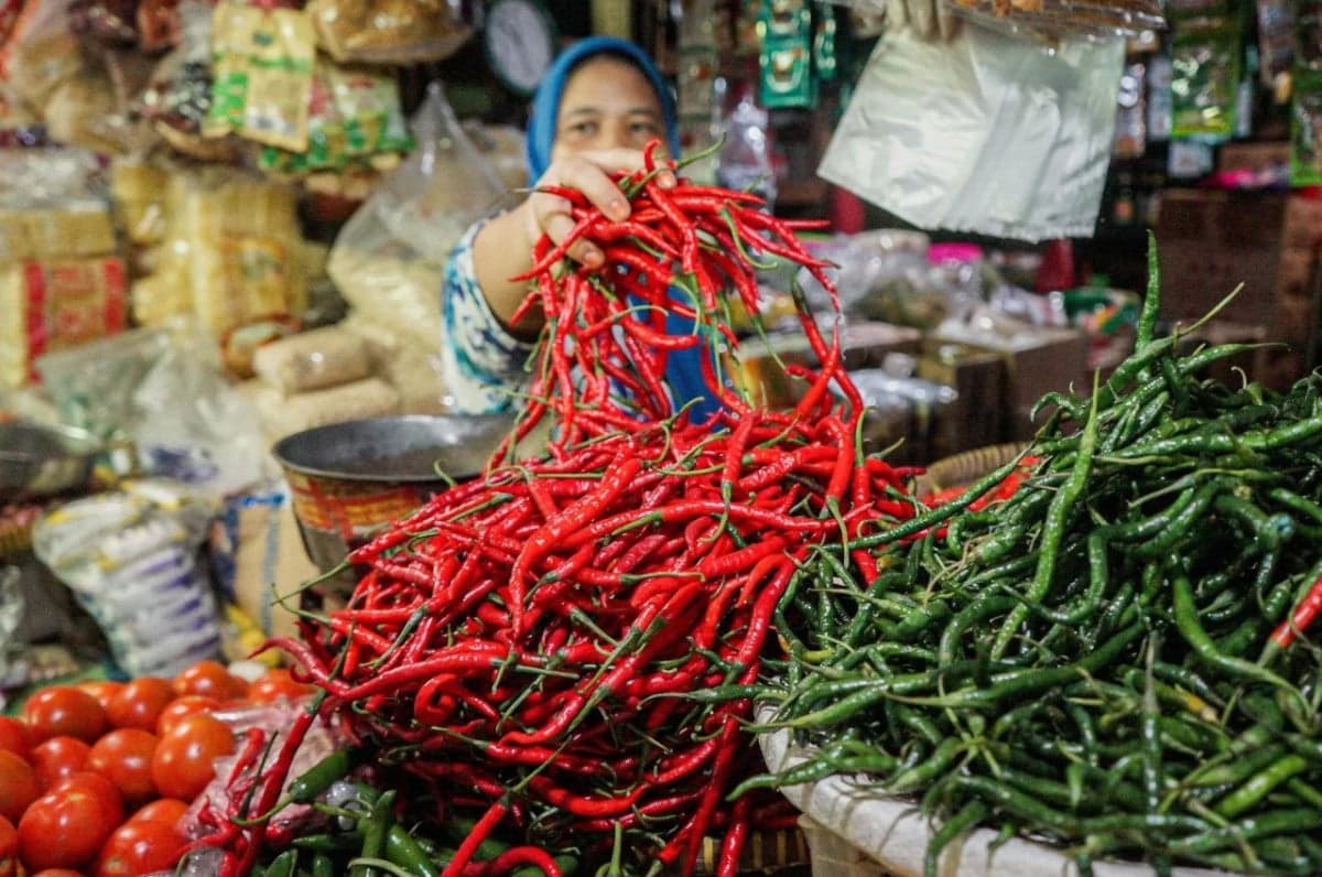 Jelang Ramadan, Pemerintah Janji Pasokan Bahan Pokok Aman dan Harga Stabil Jelang Ramadan, Pemerintah Janji Pasokan Bahan Pokok Aman dan Harga Stabil