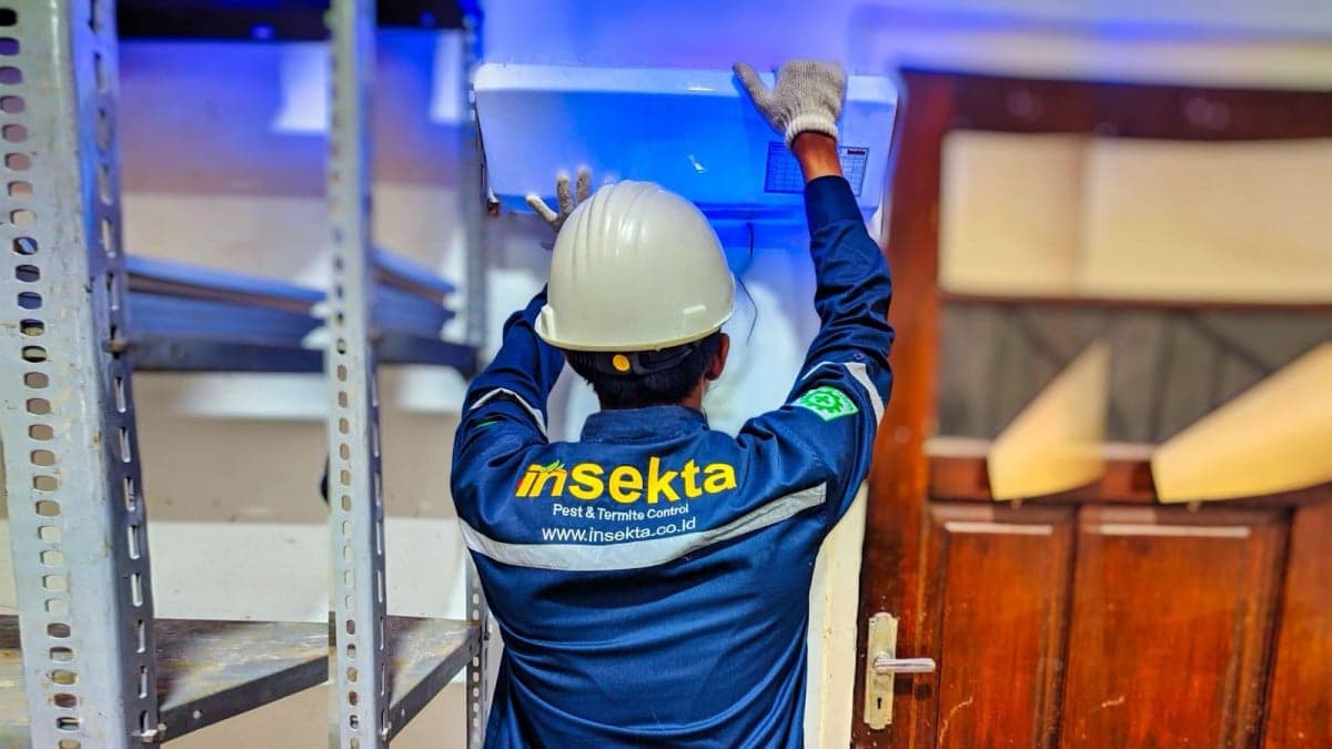 Insekta Perkuat Layanan Pengendalian Hama untuk Sektor Bisnis dan Hunian Insekta Perkuat Layanan Pengendalian Hama untuk Sektor Bisnis dan Hunian
