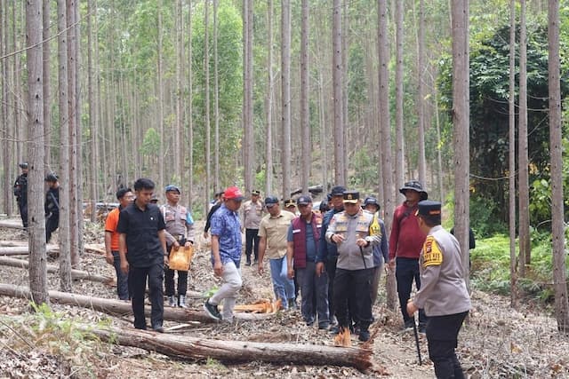 Cek Lokasi Pembunuhan Gajah, Kapolda Riau: Pengusutan Gunakan Scientific Crime Investigation Cek Lokasi Pembunuhan Gajah, Kapolda Riau: Pengusutan Gunakan Scientific Crime Investigation