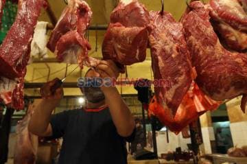 Jelang Ramadan, Stok Daging Sapi dan Kambing di Papua Aman Jelang Ramadan, Stok Daging Sapi dan Kambing di Papua Aman