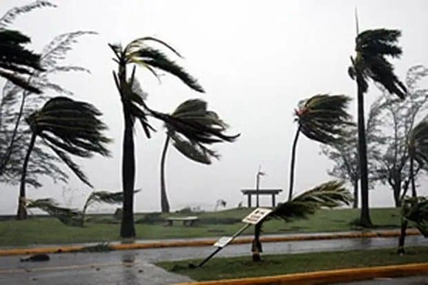 8 Rumah di Situbondo Rusak Diterjang Angin Kencang 8 Rumah di Situbondo Rusak Diterjang Angin Kencang