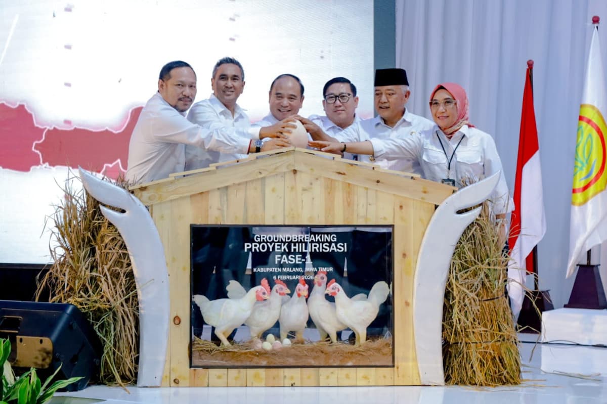 Dukung MBG, Berdikari Bangun Pembibitan Ayam Terintegrasi di Ngajum Dukung MBG, Berdikari Bangun Pembibitan Ayam Terintegrasi di Ngajum