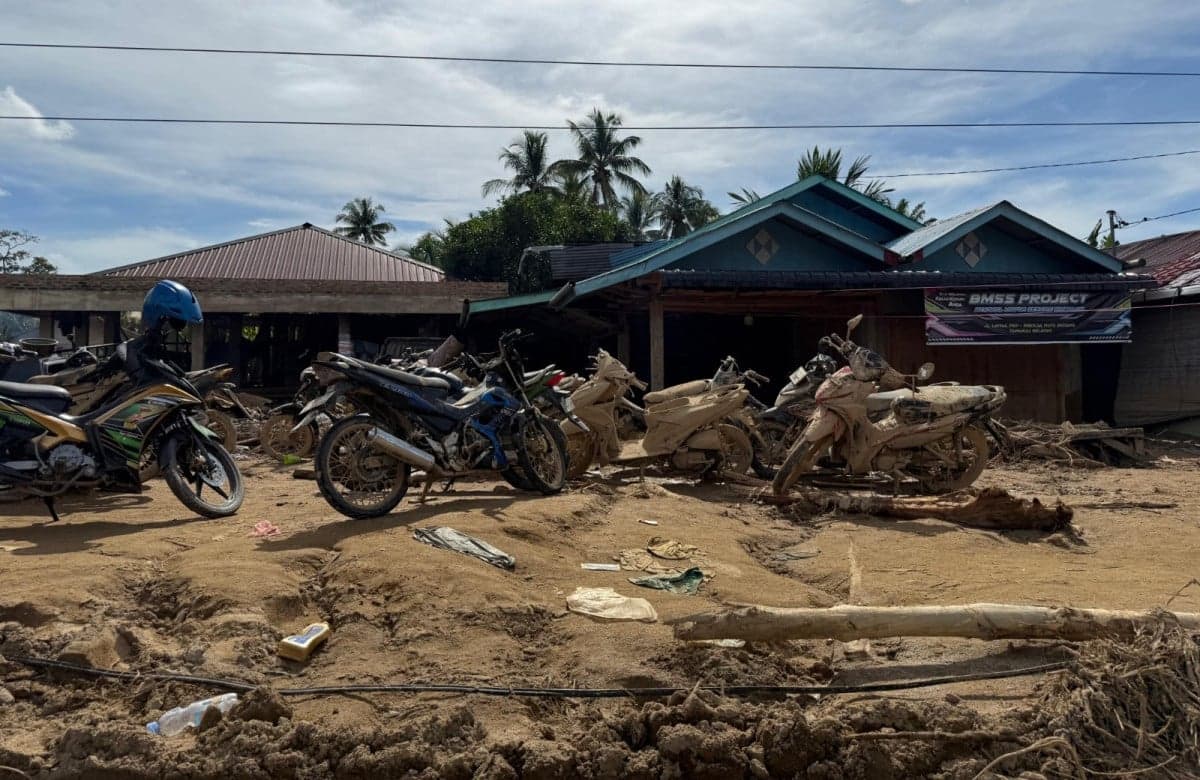 Mayoritas Wilayah Terdampak Bencana Sumatera Masuk Fase Pemulihan Mayoritas Wilayah Terdampak Bencana Sumatera Masuk Fase Pemulihan