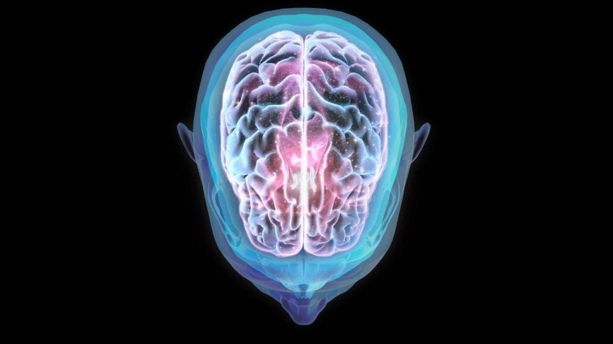 Penelitian Temukan Fakta Penerbangan ke Luar Angkasa Mengubah Posisi Otak Penelitian Temukan Fakta Penerbangan ke Luar Angkasa Mengubah Posisi Otak