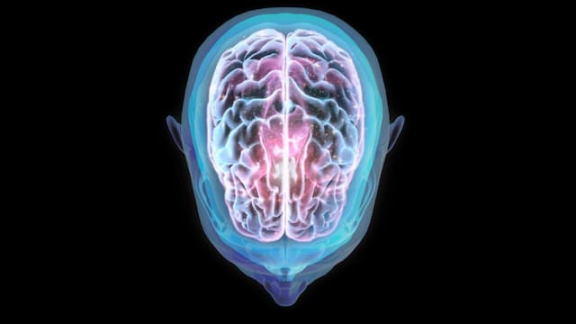 Penelitian Temukan Fakta Penerbangan ke Luar Angkasa Mengubah Posisi Otak Penelitian Temukan Fakta Penerbangan ke Luar Angkasa Mengubah Posisi Otak