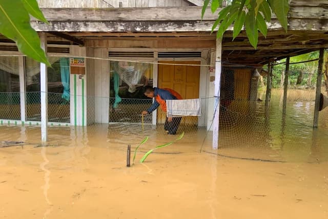 Imbas Banjir Grobogan, 9 Ribu KK Terdampak Imbas Banjir Grobogan, 9 Ribu KK Terdampak