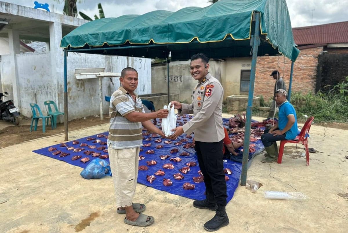 Mahasiswa STIK Sumbang 70 Ekor Sapi untuk Tradisi Meugang di Aceh Mahasiswa STIK Sumbang 70 Ekor Sapi untuk Tradisi Meugang di Aceh