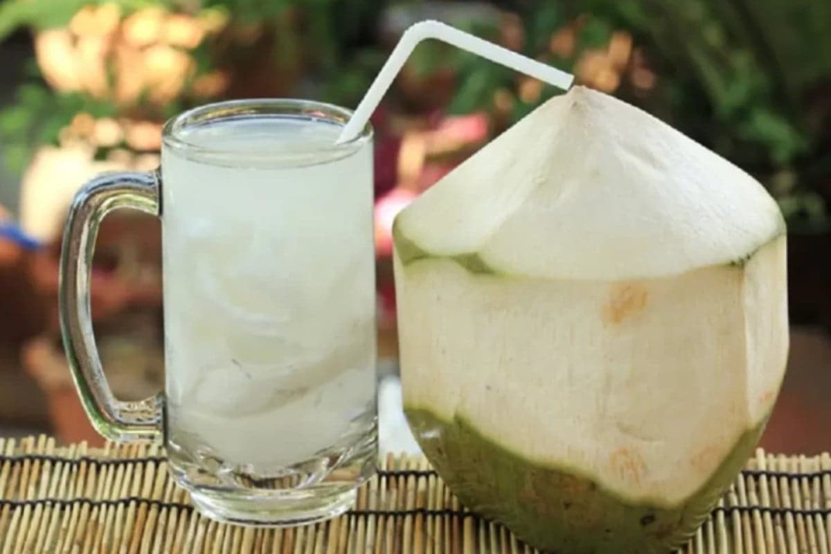 Selain Air Putih, Ini 7 Minuman Terbaik untuk Cegah Dehidrasi Saat Puasa Selain Air Putih, Ini 7 Minuman Terbaik untuk Cegah Dehidrasi Saat Puasa