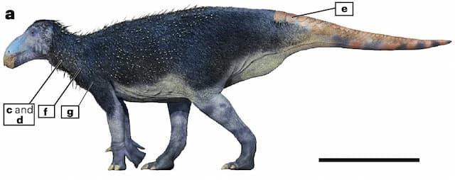 Dinosaurus Berduri Aneh dengan Kulit yang Berbeda dari Hewan Mana Pun Ditemukan Dinosaurus Berduri Aneh dengan Kulit yang Berbeda dari Hewan Mana Pun Ditemukan