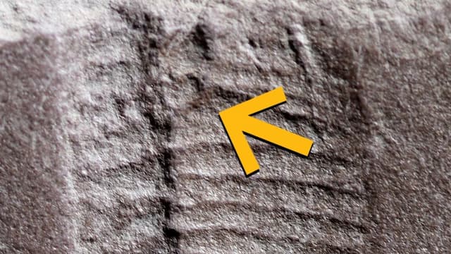 Fosil Lubang Anus Tertua Ditemukan pada Reptil Berusia 290 Juta Tahun Fosil Lubang Anus Tertua Ditemukan pada Reptil Berusia 290 Juta Tahun