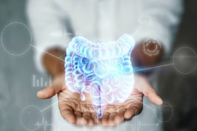 5 Camilan Ini Bisa Bikin Usus Lebih Sehat, Murah dan Mudah Didapat 5 Camilan Ini Bisa Bikin Usus Lebih Sehat, Murah dan Mudah Didapat