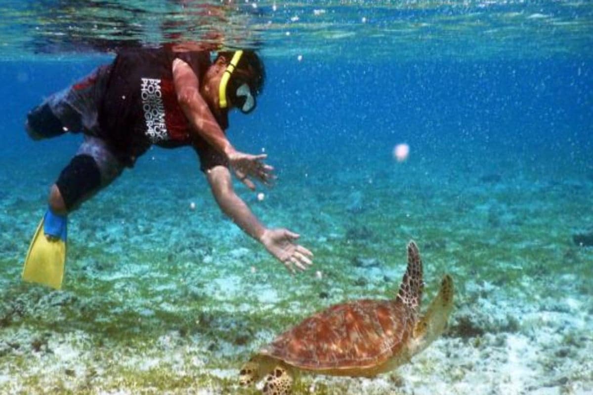 Gili Trawangan Jadi Destinasi Terbaik untuk Berenang di Dunia 2026 Versi Forbes Gili Trawangan Jadi Destinasi Terbaik untuk Berenang di Dunia 2026 Versi Forbes