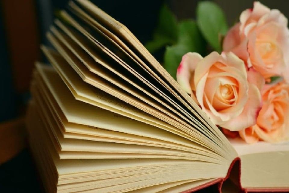 Golongan Wanita yang Wajib Bayar Fidyah Puasa Ramadan Golongan Wanita yang Wajib Bayar Fidyah Puasa Ramadan