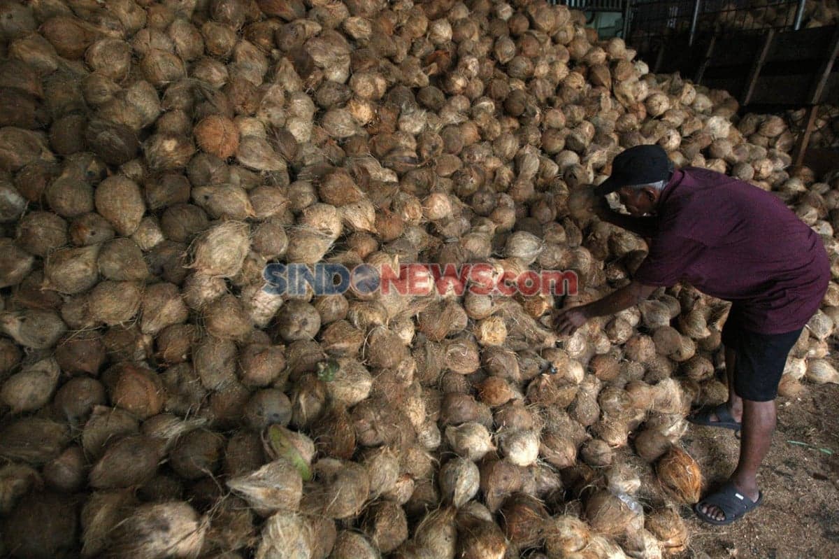 Amran Sebut Nilai Tambah Hilirisasi Kelapa, Gambir, dan CPO Bisa Tembus Rp15.000 Triliun Amran Sebut Nilai Tambah Hilirisasi Kelapa, Gambir, dan CPO Bisa Tembus Rp15.000 Triliun