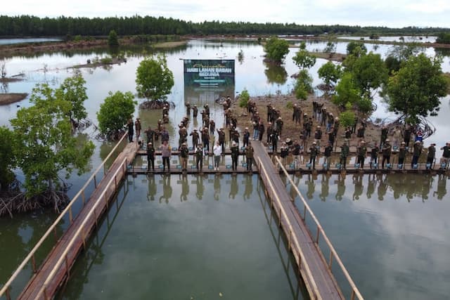 Perkuat Rehabilitasi Mangrove di Kalimantan, Kemenhut Galakkan Program M4CR Perkuat Rehabilitasi Mangrove di Kalimantan, Kemenhut Galakkan Program M4CR