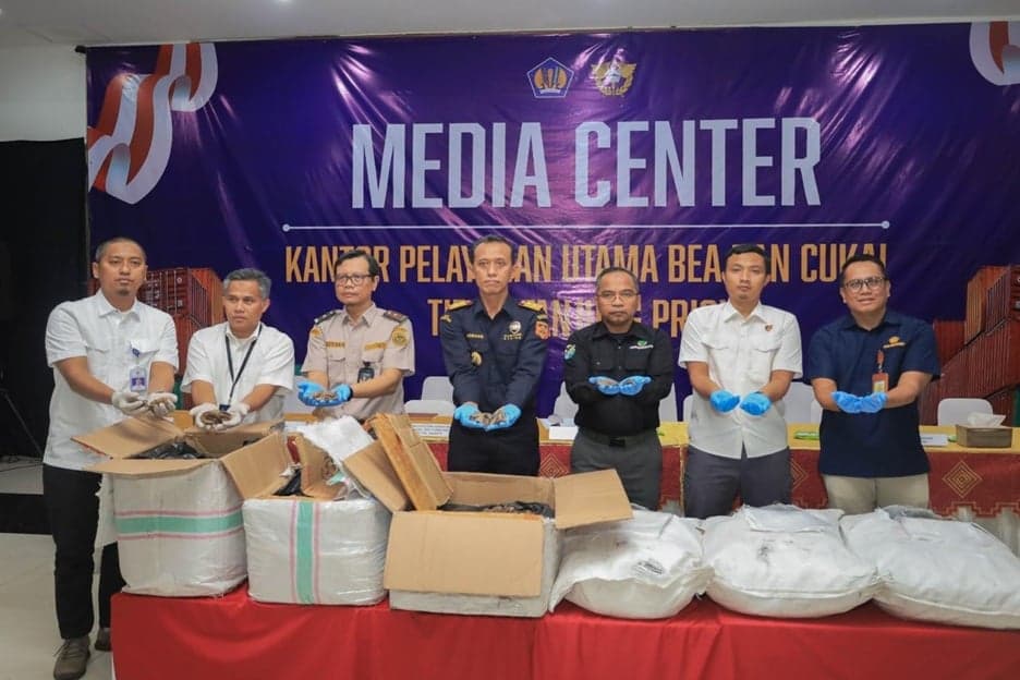 Bea Cukai Priok: Ekspor Ilegal 3 Ton Trenggiling Rp183 Miliar Akan Dikirim ke Kamboja Bea Cukai Priok: Ekspor Ilegal 3 Ton Trenggiling Rp183 Miliar Akan Dikirim ke Kamboja