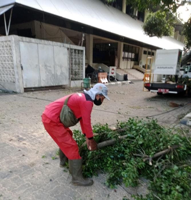 Respons Kilat Pemkot Semarang Tangani Dampak Angin Kencang, Pulihkan Akses Jalan dari 86 Pohon Tumbang Respons Kilat Pemkot Semarang Tangani Dampak Angin Kencang, Pulihkan Akses Jalan dari 86 Pohon Tumbang