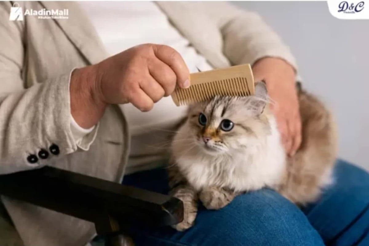 Jangan Asal Tinggal! Ini 5 Tips Menjaga Hewan Peliharaan Tetap Aman Saat Mudik Lebaran Jangan Asal Tinggal! Ini 5 Tips Menjaga Hewan Peliharaan Tetap Aman Saat Mudik Lebaran