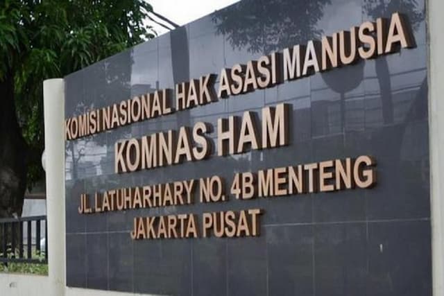 Kasus Penyiraman Air Keras ke Aktivis KontraS, Komnas HAM Bakal Panggil Panglima TNI Kasus Penyiraman Air Keras ke Aktivis KontraS, Komnas HAM Bakal Panggil Panglima TNI
