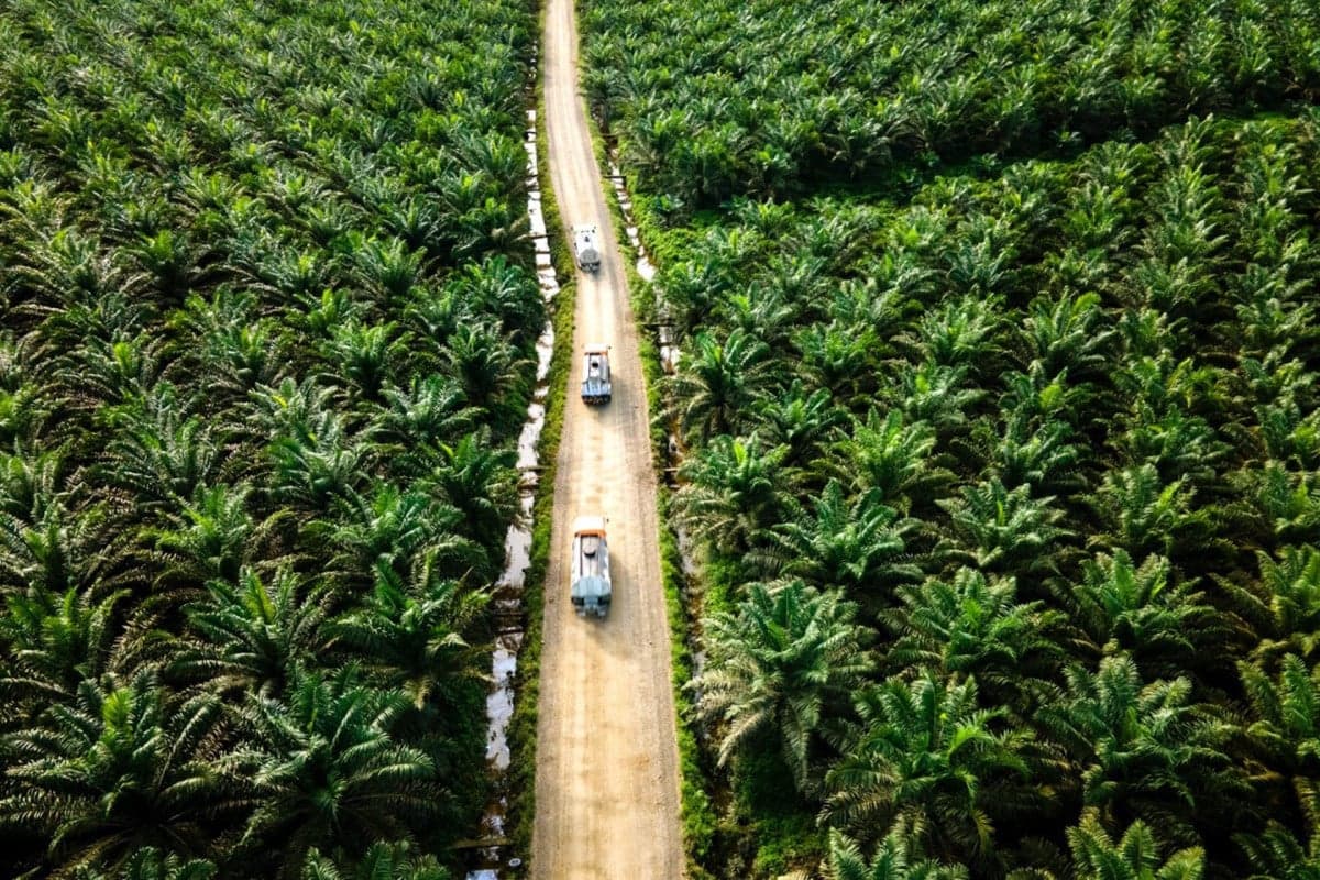 Mendorong Pemerintah Perkuat Diplomasi untuk Hadapi Hambatan Non-Tarif ke Pasar UE Mendorong Pemerintah Perkuat Diplomasi untuk Hadapi Hambatan Non-Tarif ke Pasar UE