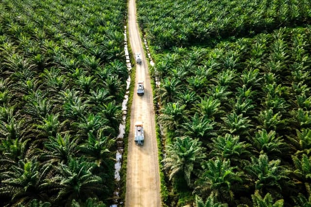 Mendorong Pemerintah Perkuat Diplomasi untuk Hadapi Hambatan Non-Tarif ke Pasar UE Mendorong Pemerintah Perkuat Diplomasi untuk Hadapi Hambatan Non-Tarif ke Pasar UE