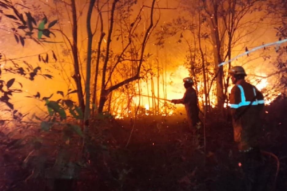 2.713 Hektare Hutan dan Lahan Terbakar, Riau Siaga Darurat Karhutla! 2.713 Hektare Hutan dan Lahan Terbakar, Riau Siaga Darurat Karhutla!