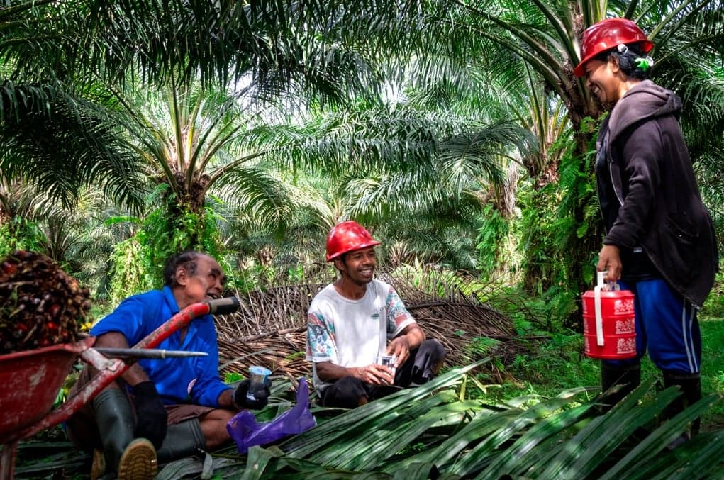 GAPKI: Industri Sawit Berkomitmen Wujudkan Kesetaraan bagi Perempuan Pekerja GAPKI: Industri Sawit Berkomitmen Wujudkan Kesetaraan bagi Perempuan Pekerja