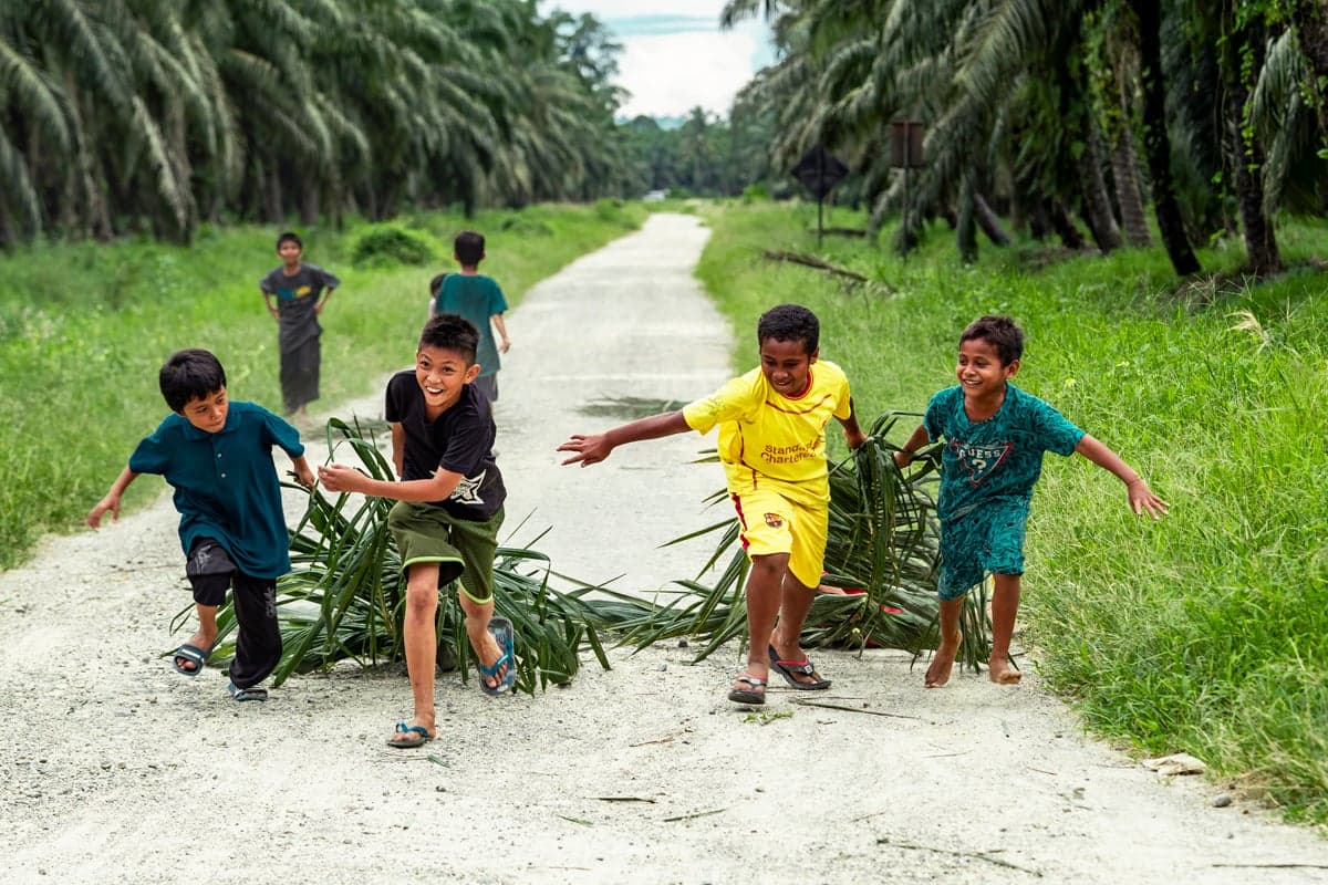 PASPI: Pengembangan SDM Kelapa Sawit Kunci Daya Saing Global PASPI: Pengembangan SDM Kelapa Sawit Kunci Daya Saing Global