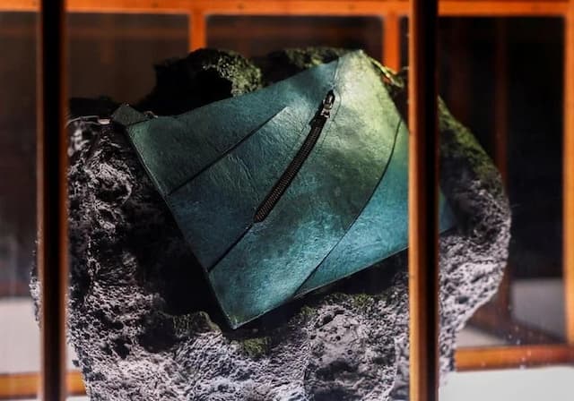 Tas Tangan dari Kulit Dinosaurus Memicu Kontroversi Ilmiah, Ini Alasannya Tas Tangan dari Kulit Dinosaurus Memicu Kontroversi Ilmiah, Ini Alasannya