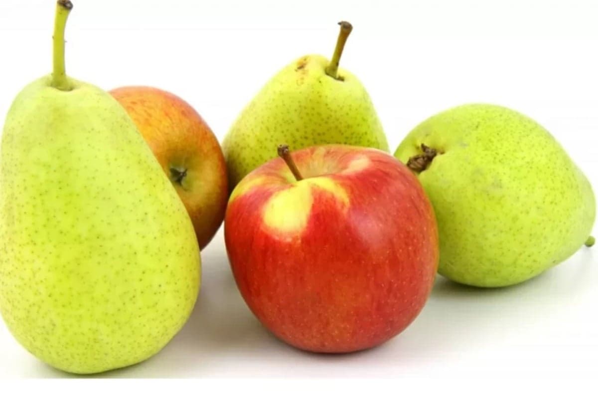 5 Buah Terbaik untuk Sarapan Sehat dan Praktis, Bikin Energi Tahan Lama 5 Buah Terbaik untuk Sarapan Sehat dan Praktis, Bikin Energi Tahan Lama