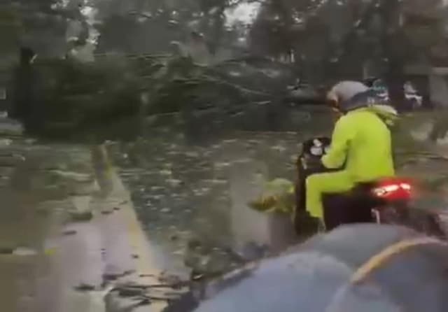 Hujan Badai di Bekasi, Pohon Tumbang hingga Atap Rumah Hancur Hujan Badai di Bekasi, Pohon Tumbang hingga Atap Rumah Hancur