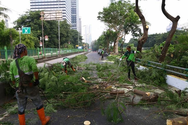 Pohon Tumbang hingga Papan Iklan Roboh di Jalan Tol Pohon Tumbang hingga Papan Iklan Roboh di Jalan Tol