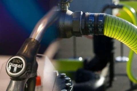 Program Biodiesel Dinilai Efektif Tekan Impor BBM, Hemat Devisa USD10 Miliar per Tahun Program Biodiesel Dinilai Efektif Tekan Impor BBM, Hemat Devisa USD10 Miliar per Tahun