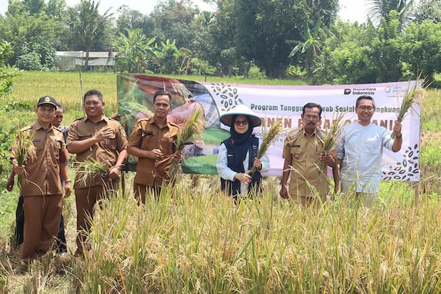 Dorong Ketahanan Pangan, Asuransi Jasindo Gelar Program Pengembangan Beras Sehat di Karawang Dorong Ketahanan Pangan, Asuransi Jasindo Gelar Program Pengembangan Beras Sehat di Karawang