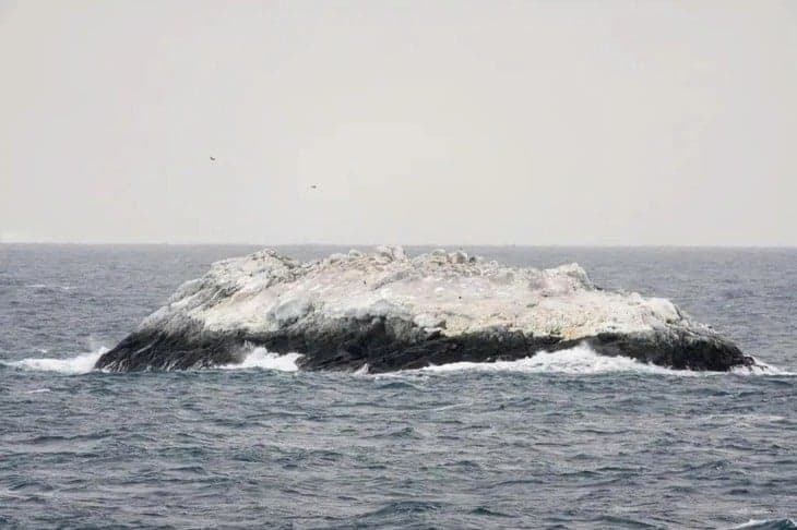Pulau Misterius Ditemukan di Zona Berbahaya Antartika Pulau Misterius Ditemukan di Zona Berbahaya Antartika