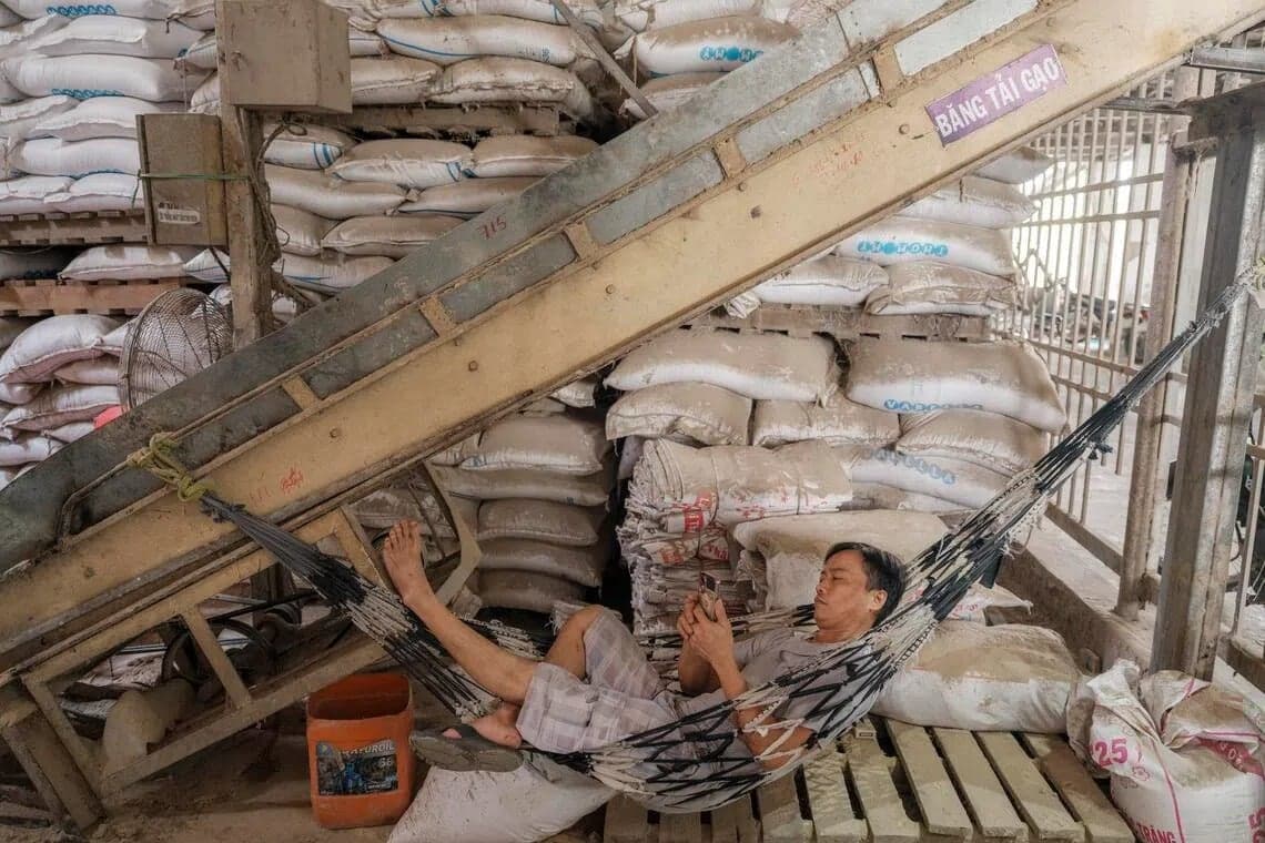 Dampak Perang Iran, Harga Beras Asia Cetak Rekor Tertinggi dalam Dua Tahun Dampak Perang Iran, Harga Beras Asia Cetak Rekor Tertinggi dalam Dua Tahun