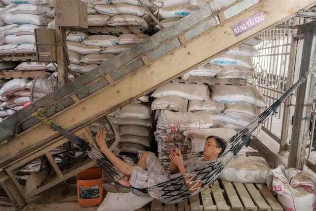 Dampak Perang Iran, Harga Beras Asia Cetak Rekor Tertinggi dalam Dua Tahun Dampak Perang Iran, Harga Beras Asia Cetak Rekor Tertinggi dalam Dua Tahun