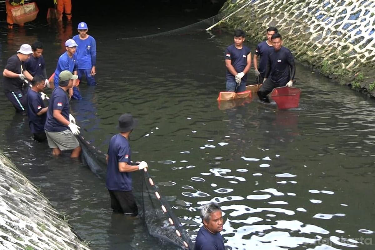 Besok, Pemprov DKI Gelar Operasi Serentak Penangkapan Ikan Sapu-sapu Besok, Pemprov DKI Gelar Operasi Serentak Penangkapan Ikan Sapu-sapu