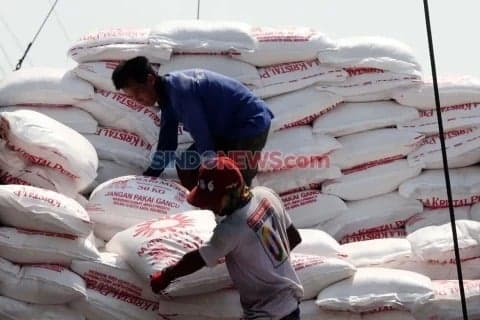 Target Swasembada Gula Terkendala Produktivitas dan Pabrik Tua Target Swasembada Gula Terkendala Produktivitas dan Pabrik Tua