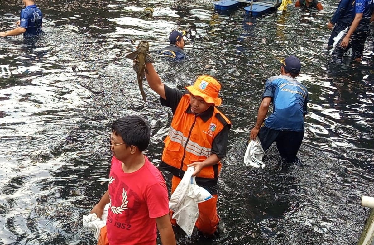MUI Ingatkan Penguburan Hidup-hidup Ikan Sapu-sapu Tak Sesuai Prinsip Islam MUI Ingatkan Penguburan Hidup-hidup Ikan Sapu-sapu Tak Sesuai Prinsip Islam