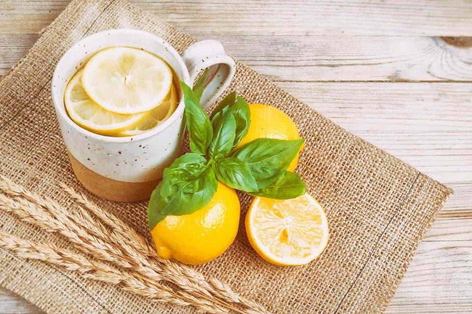 7 Manfaat Konsumsi Lemon Hangat di Pagi Hari, Bisa Turunkan Risiko Kena Batu Ginjal 7 Manfaat Konsumsi Lemon Hangat di Pagi Hari, Bisa Turunkan Risiko Kena Batu Ginjal