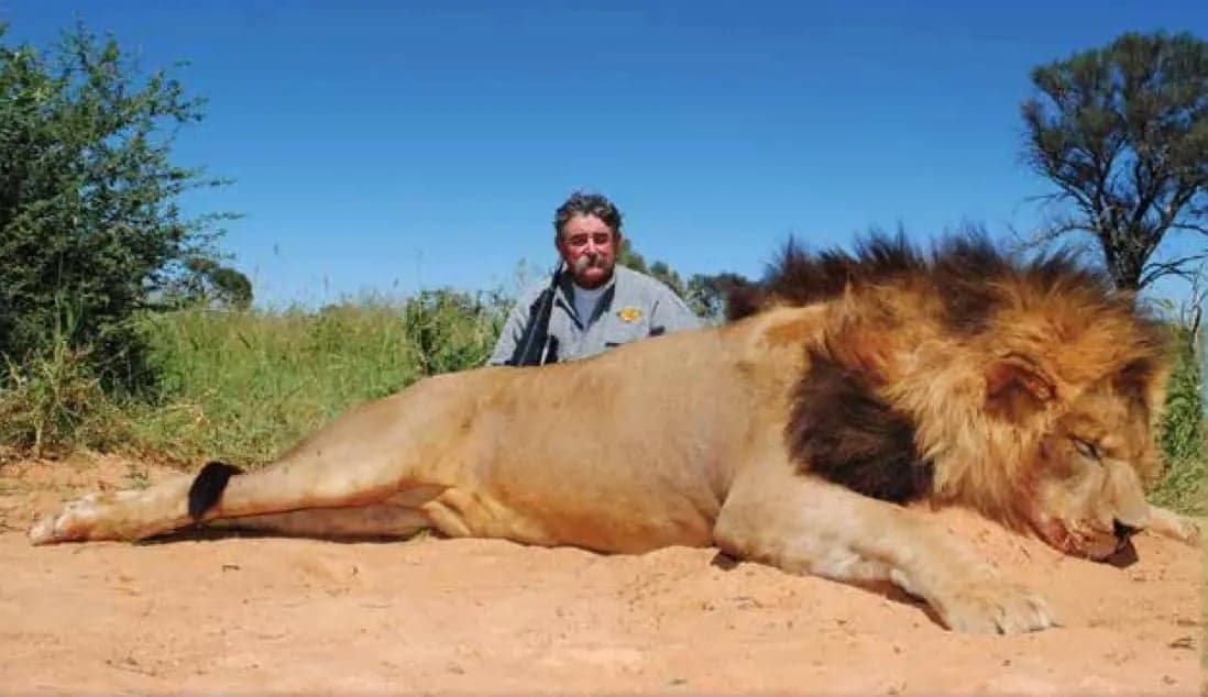 Miliarder AS Ini Tewas Terinjak-injak Gajah saat Berburu Kijang Punggung Kuning Miliarder AS Ini Tewas Terinjak-injak Gajah saat Berburu Kijang Punggung Kuning