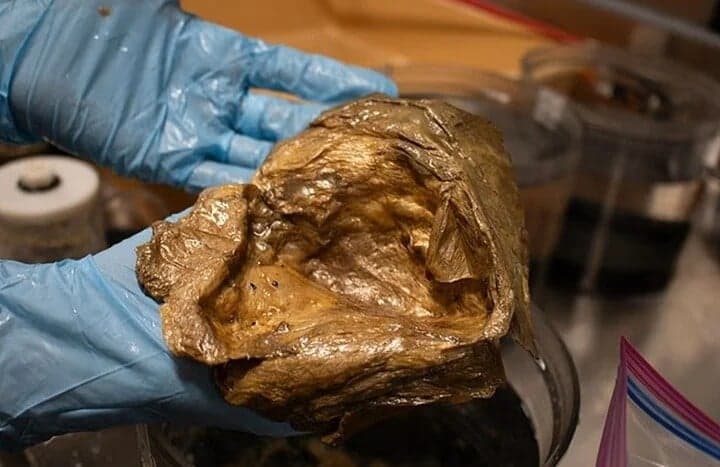 Misteri Telur Emas Diduga Terkait dengan Alien Terungkap Misteri Telur Emas Diduga Terkait dengan Alien Terungkap