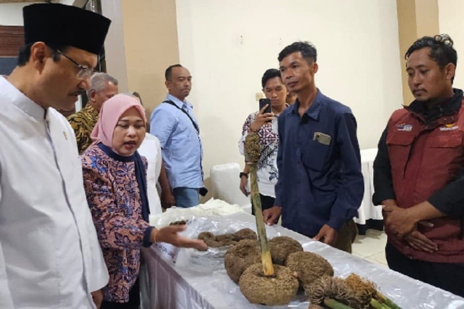 Tingkatkan Pendapatan Masyarakat Lombok dan Bandung, Astra Bersama Kampus Kembangkan Potensi Lokal Tingkatkan Pendapatan Masyarakat Lombok dan Bandung, Astra Bersama Kampus Kembangkan Potensi Lokal