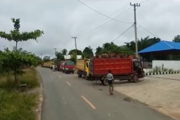 Solar di Sebuku Kalimantan Utara Langka, Aktivitas Warga Terhambat Solar di Sebuku Kalimantan Utara Langka, Aktivitas Warga Terhambat