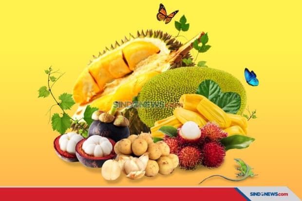 Contoh Peribahasa Menggunakan Kata Buah, Nomor 3 tentang Orang yang Tak Mau Mengamalkan Ilmu Contoh Peribahasa Menggunakan Kata Buah, Nomor 3 tentang Orang yang Tak Mau Mengamalkan Ilmu