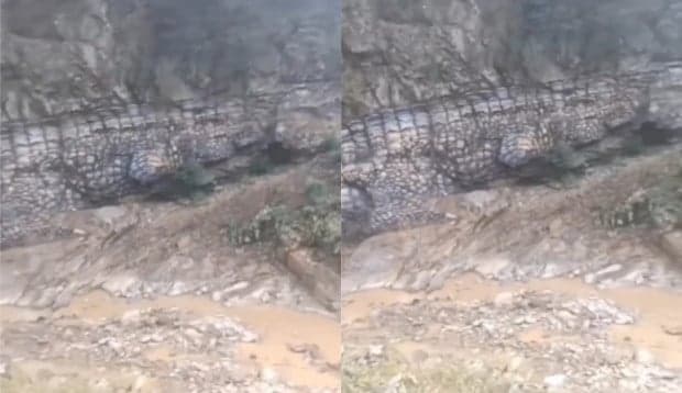 Batuan Berstruktur Buaya Raksasa dari Zaman Dinosaurus Ditemukan Batuan Berstruktur Buaya Raksasa dari Zaman Dinosaurus Ditemukan