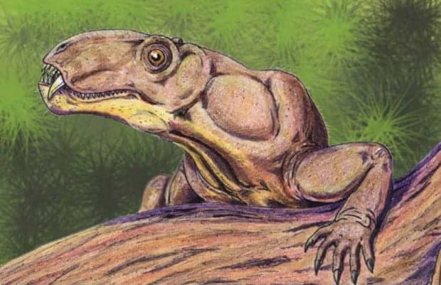 7 Nama Hewan Prasejarah yang Sulit Diucapkan, Begini Cara Penyebutannya 7 Nama Hewan Prasejarah yang Sulit Diucapkan, Begini Cara Penyebutannya