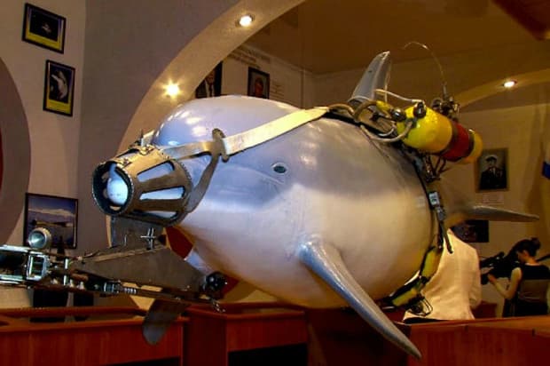 Bantu Rusia, Iran Ungkap Siap Berikan Banyak Kejutan Bantu Rusia, Iran Ungkap Siap Berikan Banyak Kejutan